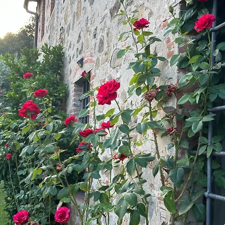 Apartment Vacanze Giovanni Garibaldi