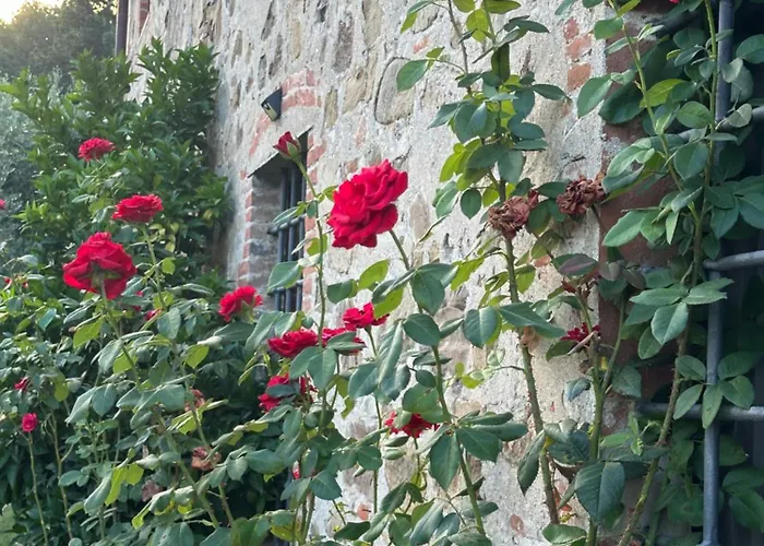 Daire Vacanze Giovanni Garibaldi