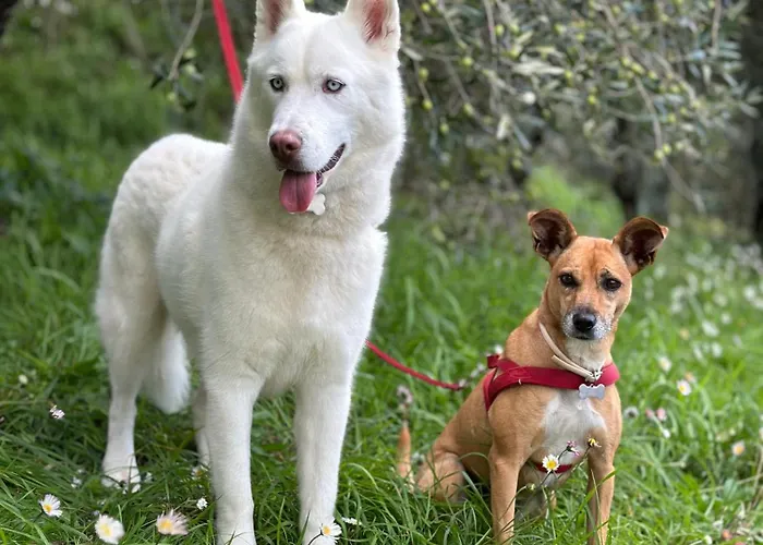 Vacanze Giovanni Garibaldi