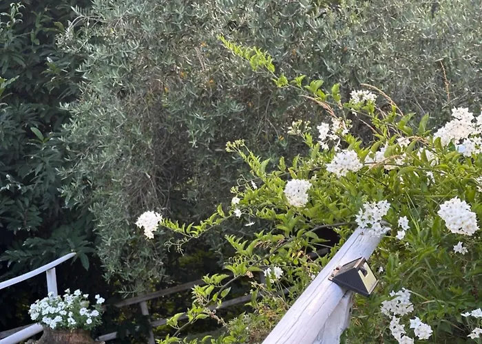 Vacanze Giovanni Garibaldi Pescaglia