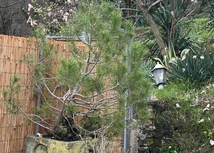 Vacanze Giovanni Garibaldi * Pescaglia